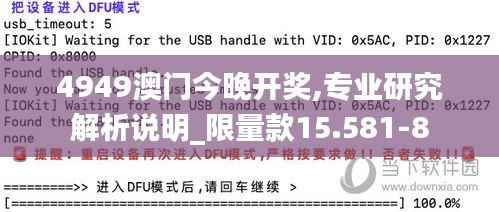 4949澳门今晚开奖,专业研究解析说明_限量款15.581-8