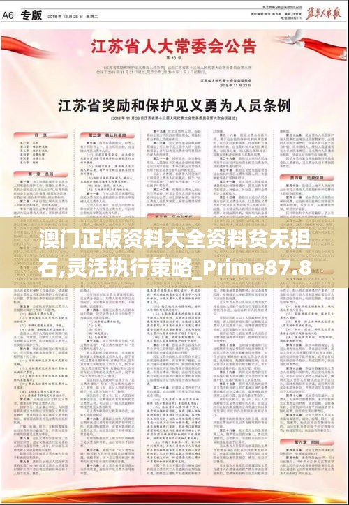 澳门正版资料大全资料贫无担石,灵活执行策略_Prime87.881-9