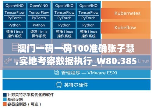 澳门一码一码100准确张子慧,实地考察数据执行_W80.385-6