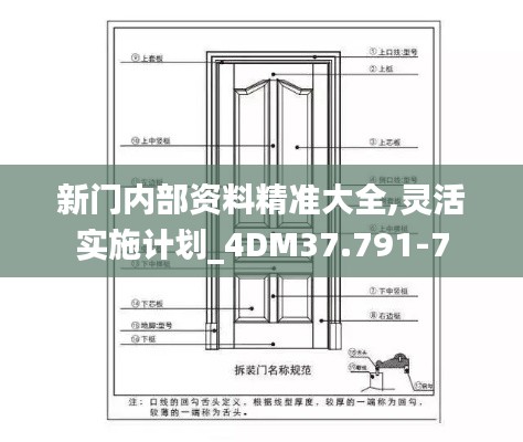新门内部资料精准大全,灵活实施计划_4DM37.791-7