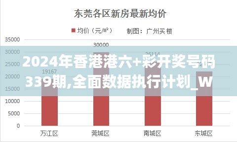2024年香港港六彩开奖号码339期全面数据执行计划