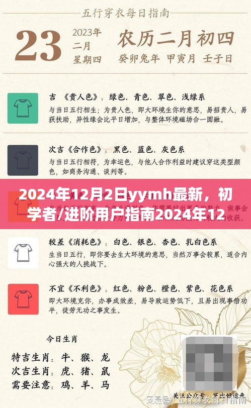 初学者与进阶用户指南，跟随YYMH掌握最新技能与任务，2024年12月2日最新指南