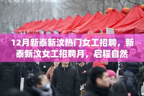 内心宁静与平和之旅