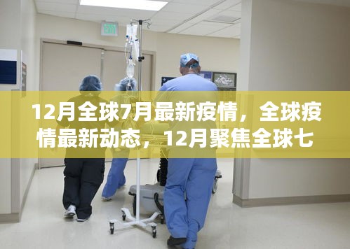 全球疫情动态，聚焦七月份数据报告，了解十二月最新疫情趋势