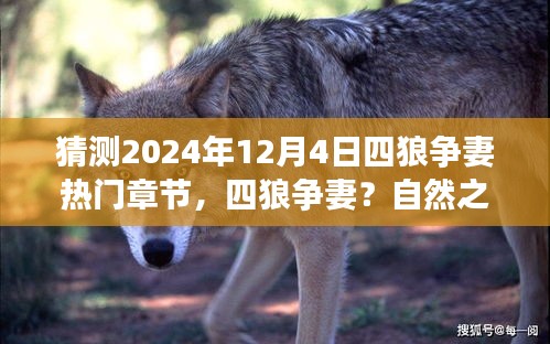 规模优势 第333页