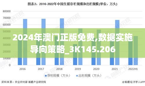 2024年澳门正版免费,数据实施导向策略_3K145.206