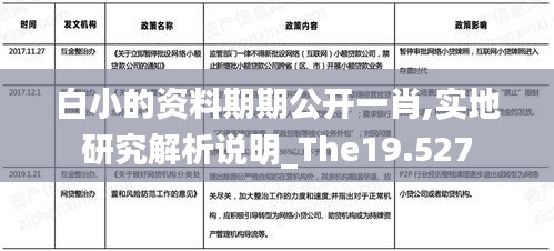 白小的资料期期公开一肖,实地研究解析说明_The19.527