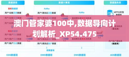澳门管家婆100中,数据导向计划解析_XP54.475