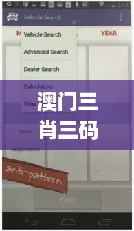 澳门三肖三码精准100%澳门公司介绍,实地评估解析说明_领航款34.678