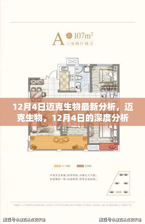 沉厚寡言 第4页