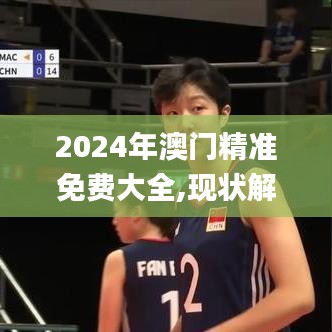 2024年澳门精准免费大全,现状解答解释定义_SHD5.364