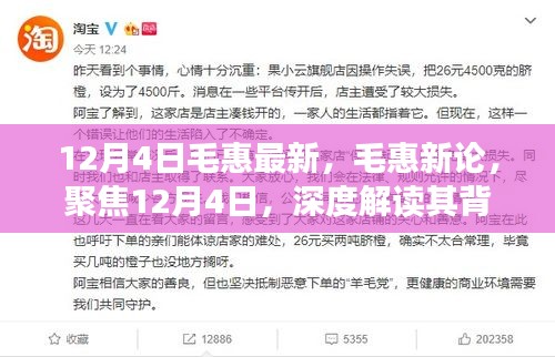 深度解读毛惠新论，聚焦12月4日的最新动态与背后意义