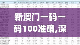新澳门一码一码100准确,深度分析解释定义_钻石版4.551