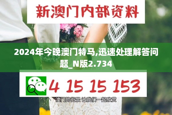 2024年今晚澳门特马,迅速处理解答问题_N版2.734