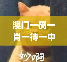 全神贯注 第4页