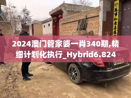 2024澳门管家婆一肖340期,精细计划化执行_Hybrid6.824