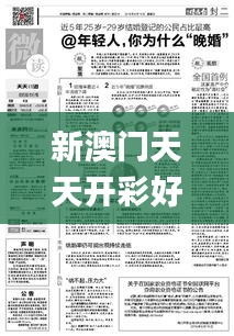 联系我们 第319页