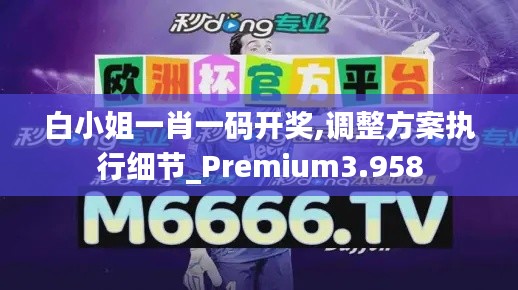 白小姐一肖一码开奖,调整方案执行细节_Premium3.958