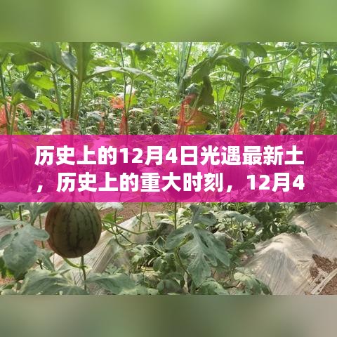 朝乾夕惕 第5页