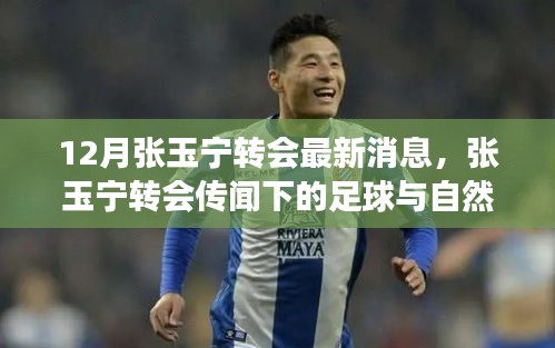 迷离马虎 第4页