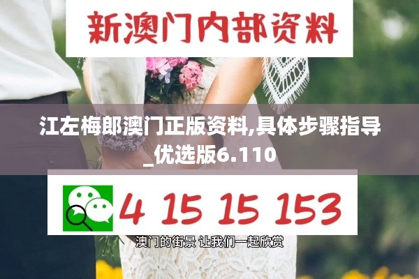 江左梅郎澳门正版资料,具体步骤指导_优选版6.110