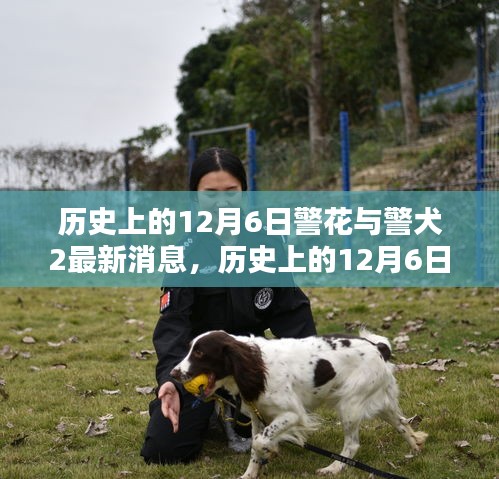 纲举目张 第4页