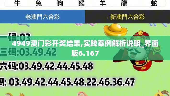 4949澳门彩开奖结果,实践案例解析说明_界面版6.167