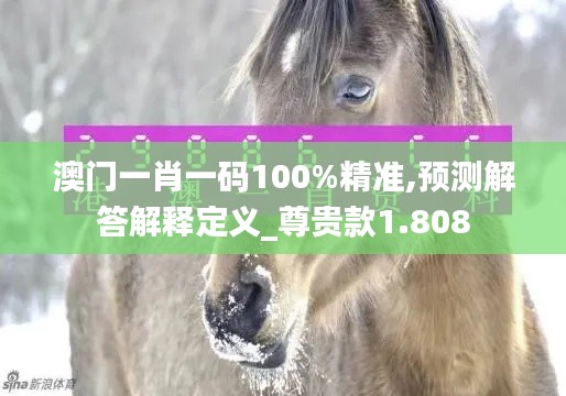 澳门一肖一码100%精准,预测解答解释定义_尊贵款1.808