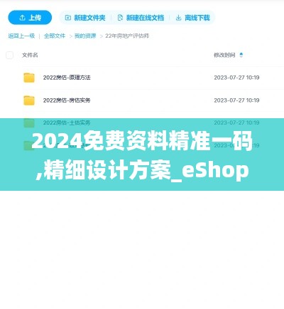2024免费资料精准一码,精细设计方案_eShop110.344