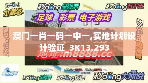 澳门一肖一码一中一,实地计划设计验证_3K13.293