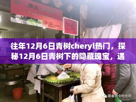 往年12月6日青树cheryl热门，探秘12月6日青树下的隐藏瑰宝，遇见Cheryl特色小巷美食