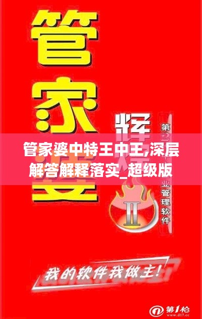 管家婆中特王中王,深层解答解释落实_超级版2.633