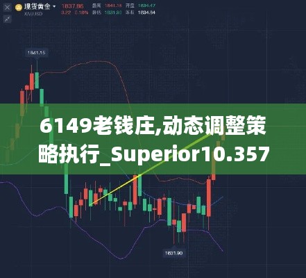 6149老钱庄,动态调整策略执行_Superior10.357