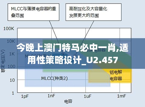 今晚上澳门特马必中一肖,适用性策略设计_U2.457
