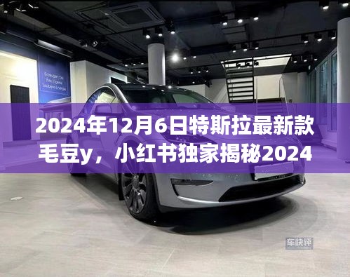 独家揭秘，特斯拉全新毛豆y 2024版，驾驶想象的颠覆者！