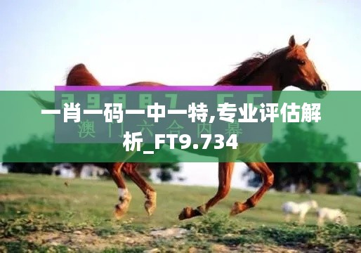 一肖一码一中一特,专业评估解析_FT9.734