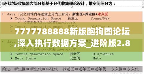 7777788888新版跑狗图论坛,深入执行数据方案_进阶版2.872