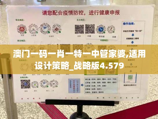 澳门一码一肖一特一中管家婆,适用设计策略_战略版4.579