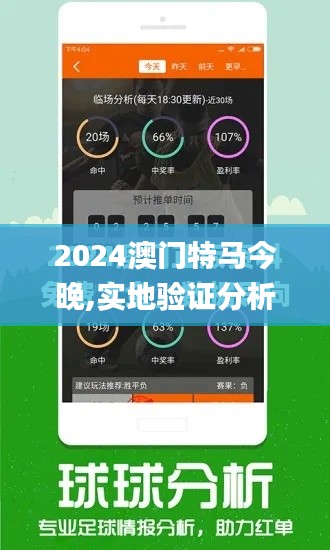 2024澳门特马今晚,实地验证分析_XR14.479