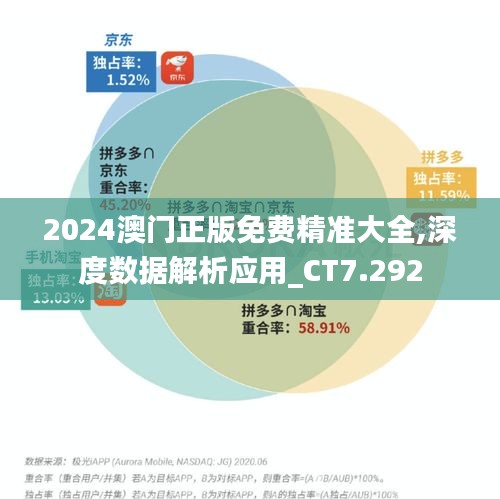 2024澳门正版免费精准大全,深度数据解析应用_CT7.292
