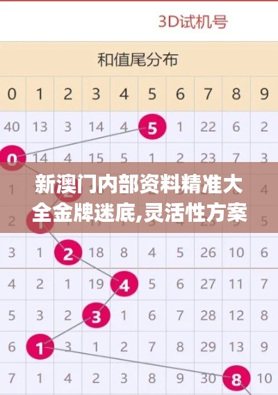 新澳门内部资料精准大全金牌迷底,灵活性方案实施评估_精英款6.504