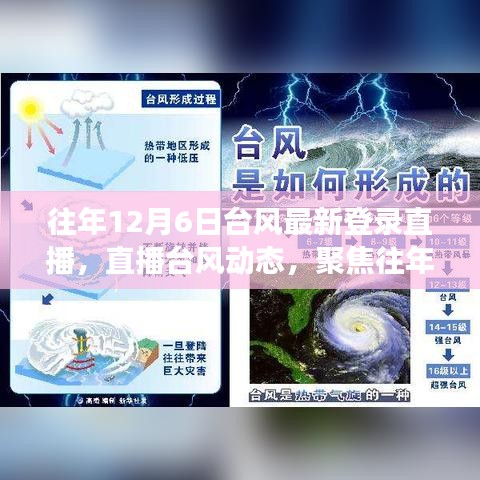 往年12月6日台风登录实况直播，聚焦影响与应对策略