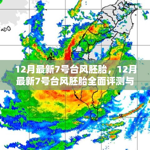 12月最新7号台风胚胎全面解析与介绍