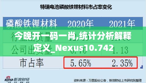 今晚开一码一肖,统计分析解释定义_Nexus10.742