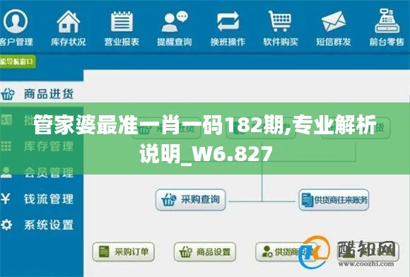 管家婆最准一肖一码182期,专业解析说明_W6.827