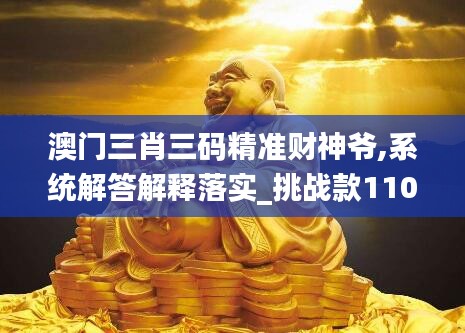 澳门三肖三码精准财神爷,系统解答解释落实_挑战款110.275