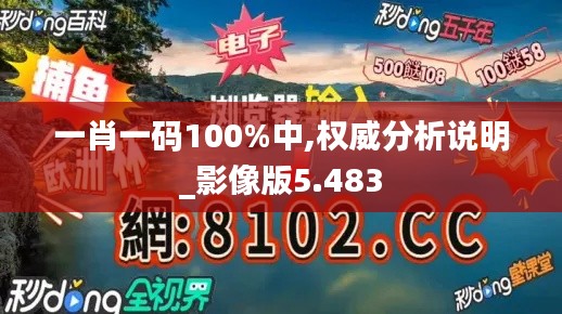 一肖一码100%中,权威分析说明_影像版5.483