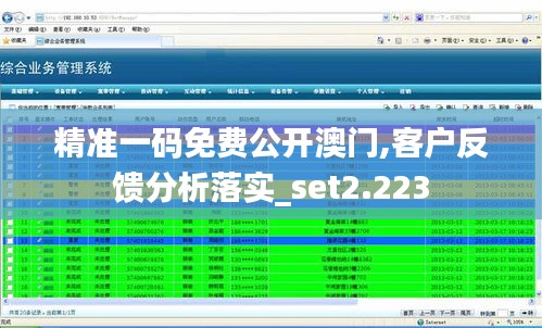 精准一码免费公开澳门,客户反馈分析落实_set2.223