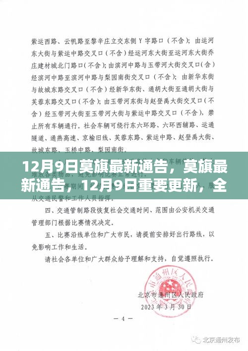 张灯结彩 第4页