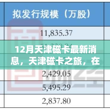 12月天津磁卡最新消息，天津磁卡之旅，在冬日阳光里寻找心灵的宁静